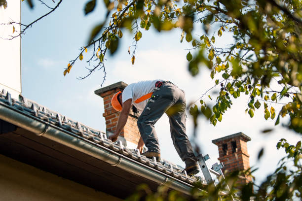 Best Roof Insulation Installation  in Campton Hls, IL