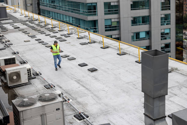 Best Storm Damage Roof Repair  in Campton Hls, IL