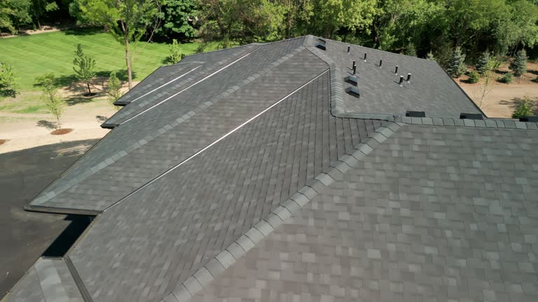 Best Chimney Flashing Repair  in Campton Hls, IL