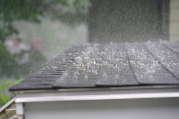 Best Roof Leak Repair  in Campton Hls, IL