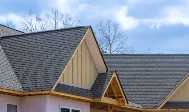 Best Asphalt Shingles Roofing  in Campton Hls, IL