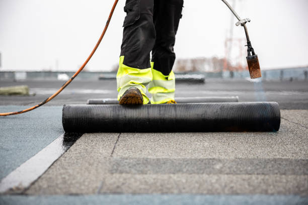 Best Skylight Installation and Repair  in Campton Hls, IL