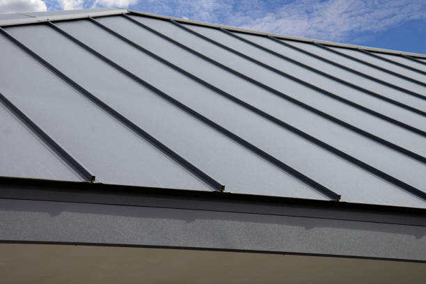 Best Roof Maintenance and Cleaning  in Campton Hls, IL